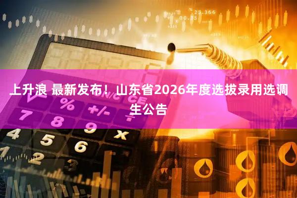 上升浪 最新发布!山东省2026年度选拔录用选调生公告